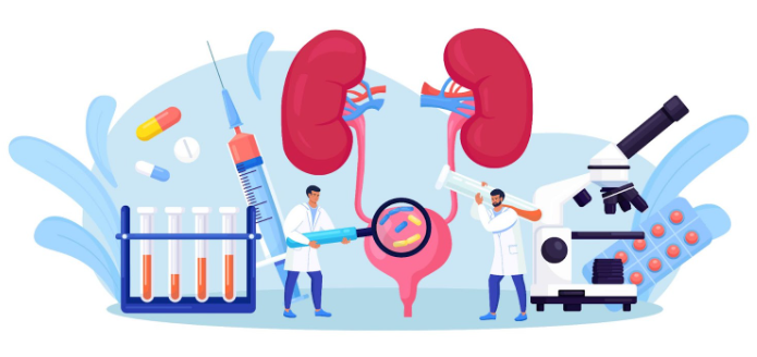 male reproductive cancers