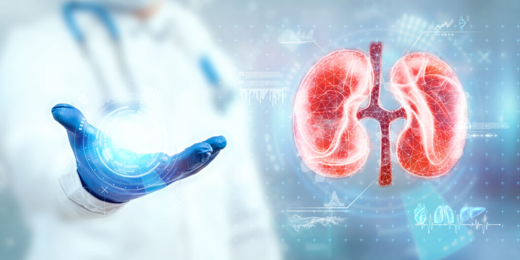 Kidney transplant success rate