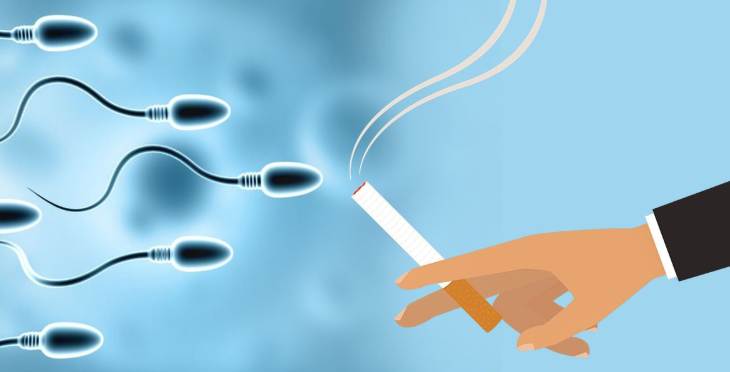 smoking and male fertility